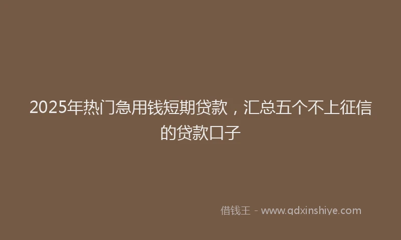 2025年热门急用钱短期贷款，汇总五个不上征信的贷款口子