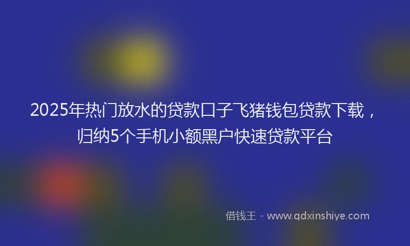 2025年热门放水的贷款口子飞猪钱包贷款下载，归纳5个手机小额黑户快速贷款平台