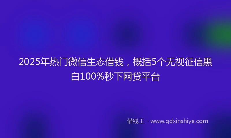 2025年热门微信生态借钱，概括5个无视征信黑白100%秒下网贷平台