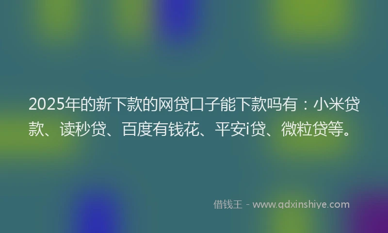 2025年的新下款的网贷口子能下款吗有：小米贷款、读秒贷、百度有钱花、平安i贷、微粒贷等。