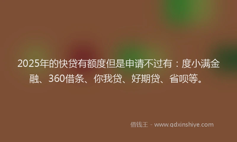2025年的快贷有额度但是申请不过有：度小满金融、360借条、你我贷、好期贷、省呗等。