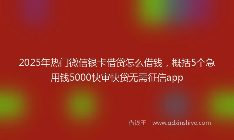 2025年热门微信银卡借贷怎么借钱，概括5个急用钱5000快审快贷无需征信app