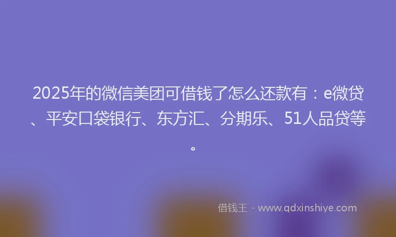 2025年的微信美团可借钱了怎么还款有：e微贷、平安口袋银行、东方汇、分期乐、51人品贷等。