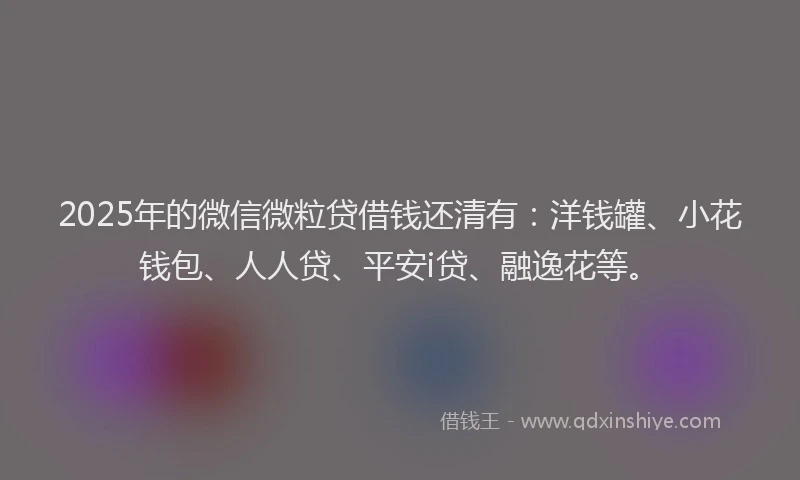 2025年的微信微粒贷借钱还清有：洋钱罐、小花钱包、人人贷、平安i贷、融逸花等。