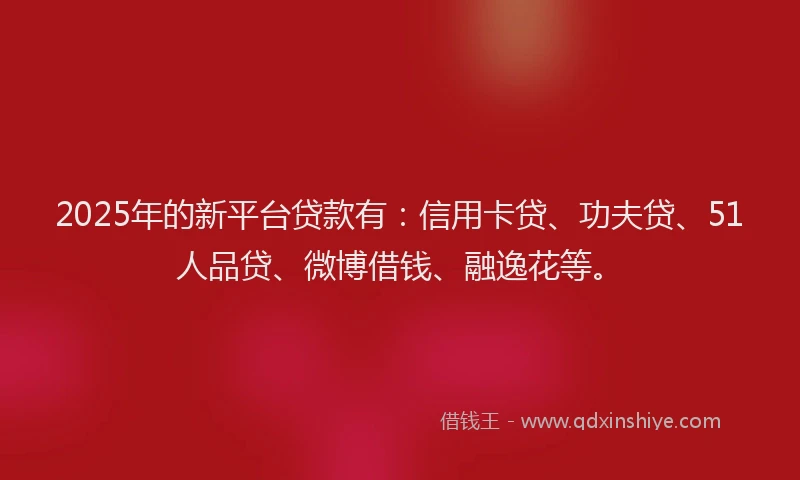 2025年的新平台贷款有：信用卡贷、功夫贷、51人品贷、微博借钱、融逸花等。