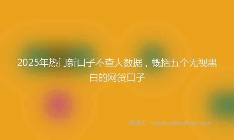 2025年热门新口子不查大数据，概括五个无视黑白的网贷口子