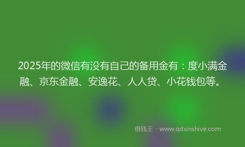 2025年的微信有没有自己的备用金有：度小满金融、京东金融、安逸花、人人贷、小花钱包等。