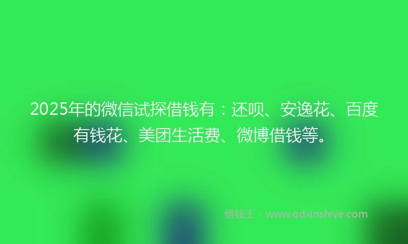 2025年的微信试探借钱有：还呗、安逸花、百度有钱花、美团生活费、微博借钱等。