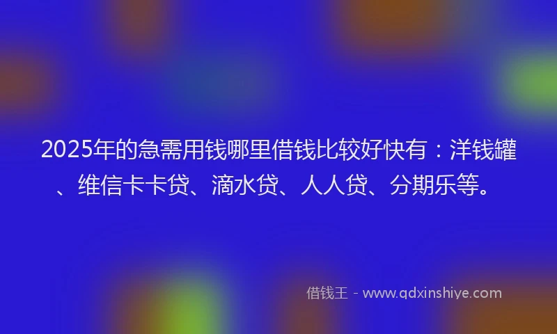 2025年的急需用钱哪里借钱比较好快有：洋钱罐、维信卡卡贷、滴水贷、人人贷、分期乐等。