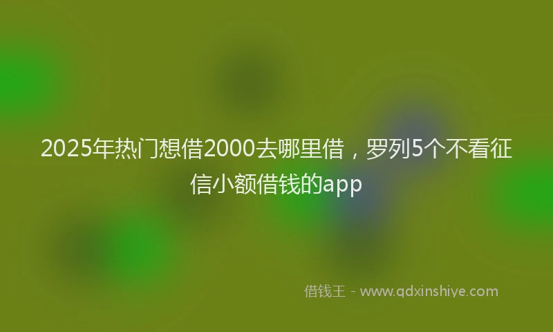 2025年热门想借2000去哪里借，罗列5个不看征信小额借钱的app