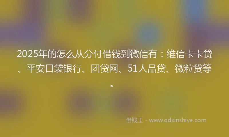 2025年的怎么从分付借钱到微信有：维信卡卡贷、平安口袋银行、团贷网、51人品贷、微粒贷等。