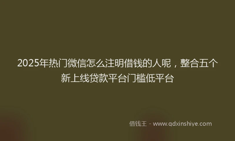 2025年热门微信怎么注明借钱的人呢，整合五个新上线贷款平台门槛低平台
