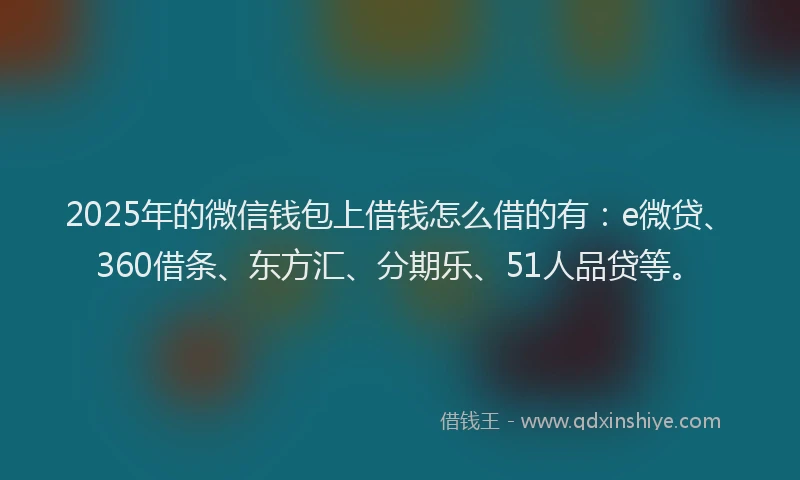 2025年的微信钱包上借钱怎么借的有：e微贷、360借条、东方汇、分期乐、51人品贷等。