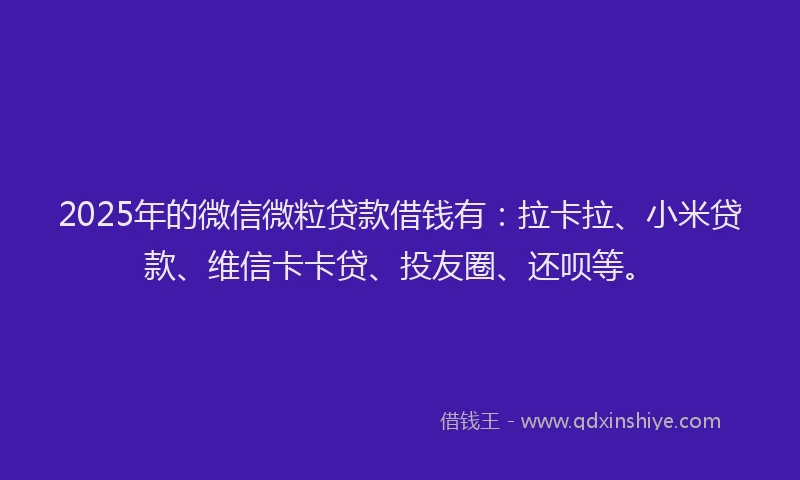 2025年的微信微粒贷款借钱有：拉卡拉、小米贷款、维信卡卡贷、投友圈、还呗等。