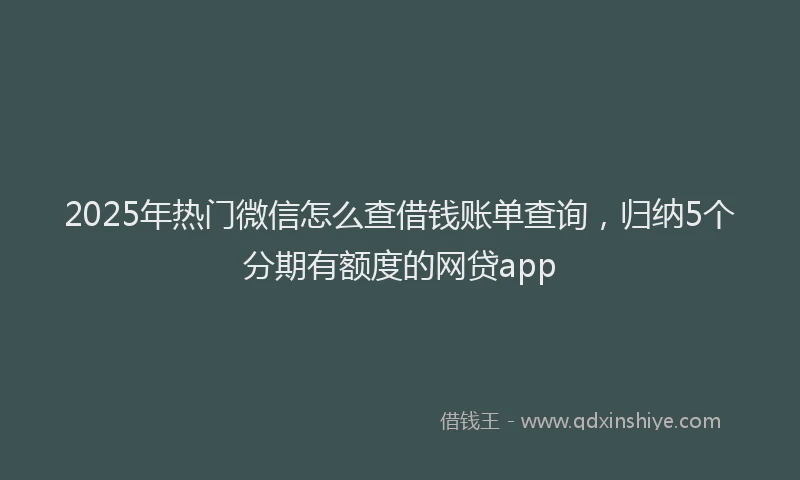 2025年热门微信怎么查借钱账单查询，归纳5个分期有额度的网贷app