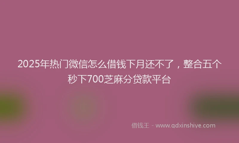 2025年热门微信怎么借钱下月还不了，整合五个秒下700芝麻分贷款平台