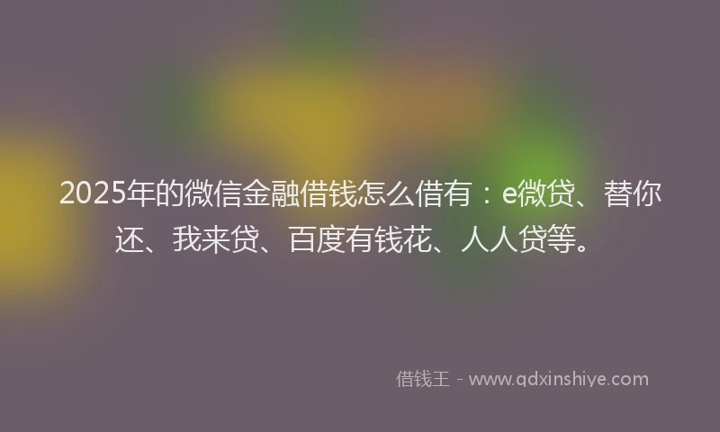 2025年的微信金融借钱怎么借有：e微贷、替你还、我来贷、百度有钱花、人人贷等。