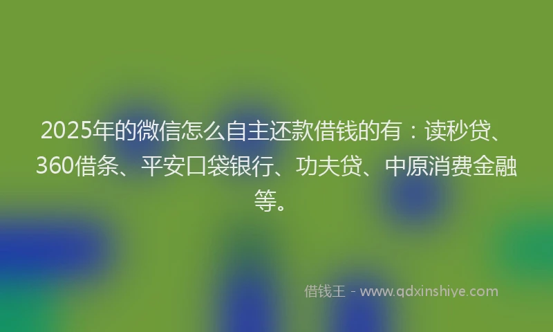 2025年的微信怎么自主还款借钱的有：读秒贷、360借条、平安口袋银行、功夫贷、中原消费金融等。