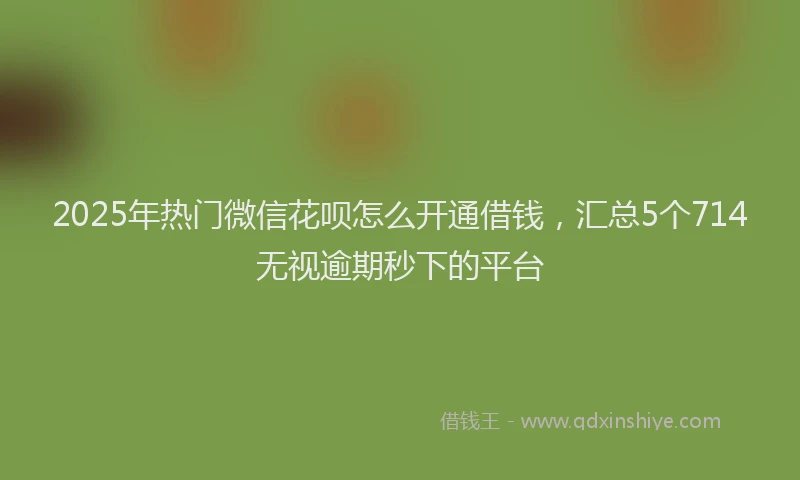2025年热门微信花呗怎么开通借钱，汇总5个714无视逾期秒下的平台
