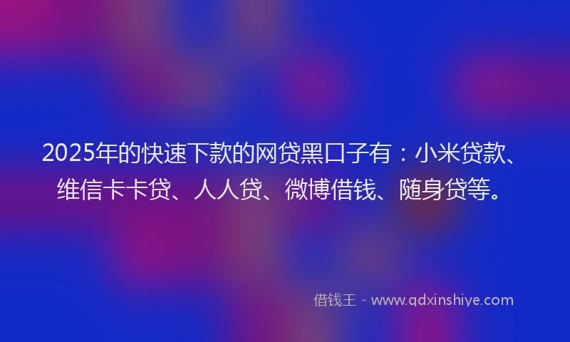 2025年的快速下款的网贷黑口子有：小米贷款、维信卡卡贷、人人贷、微博借钱、随身贷等。