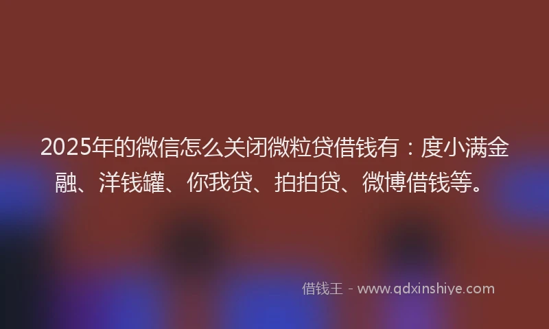 2025年的微信怎么关闭微粒贷借钱有：度小满金融、洋钱罐、你我贷、拍拍贷、微博借钱等。