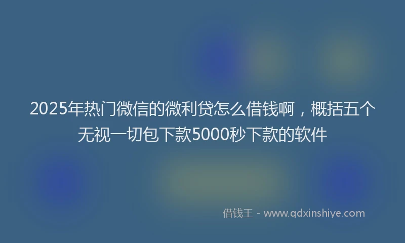 2025年热门微信的微利贷怎么借钱啊，概括五个无视一切包下款5000秒下款的软件