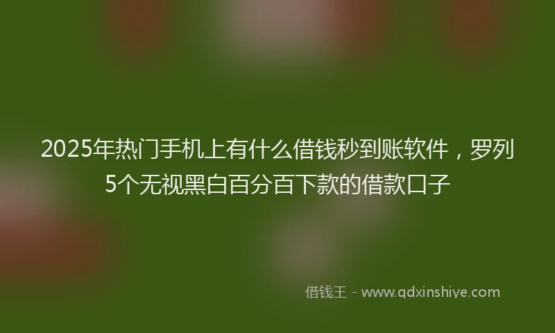 2025年热门手机上有什么借钱秒到账软件，罗列5个无视黑白百分百下款的借款口子