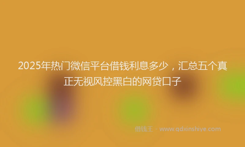 2025年热门微信平台借钱利息多少，汇总五个真正无视风控黑白的网贷口子