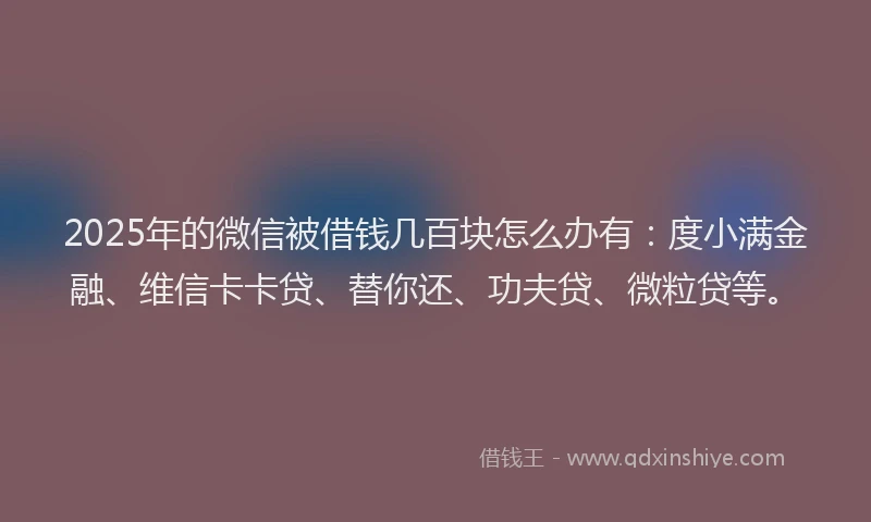 2025年的微信被借钱几百块怎么办有：度小满金融、维信卡卡贷、替你还、功夫贷、微粒贷等。