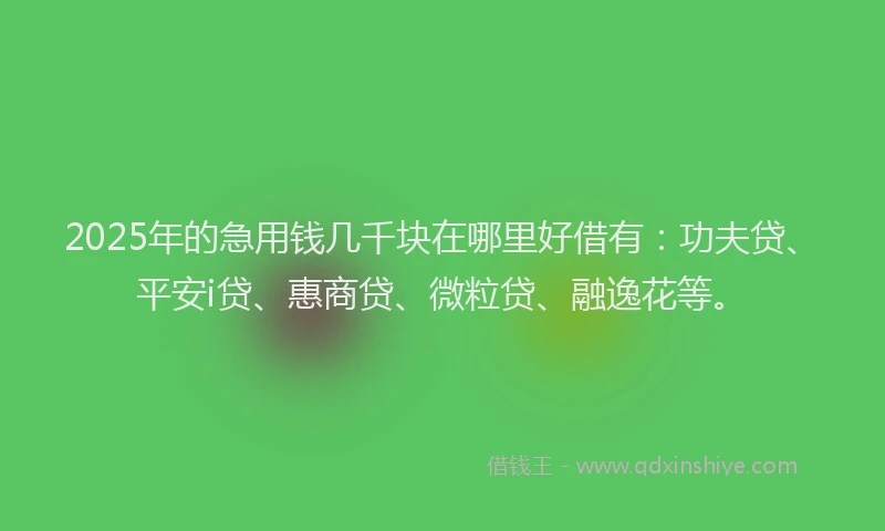 2025年的急用钱几千块在哪里好借有：功夫贷、平安i贷、惠商贷、微粒贷、融逸花等。