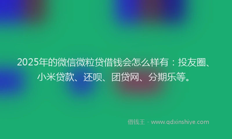 2025年的微信微粒贷借钱会怎么样有：投友圈、小米贷款、还呗、团贷网、分期乐等。