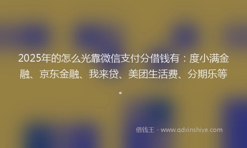 2025年的怎么光靠微信支付分借钱有：度小满金融、京东金融、我来贷、美团生活费、分期乐等。