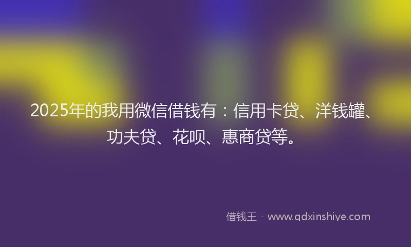2025年的我用微信借钱有：信用卡贷、洋钱罐、功夫贷、花呗、惠商贷等。