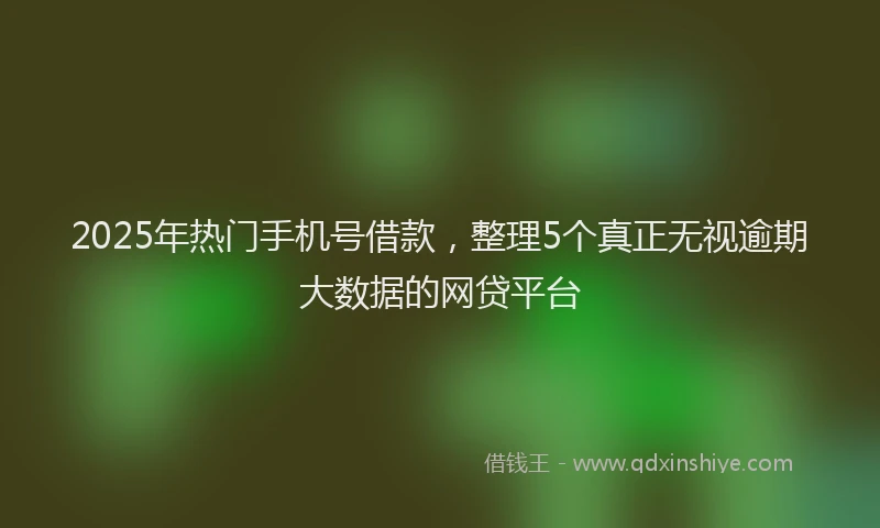 2025年热门手机号借款，整理5个真正无视逾期大数据的网贷平台