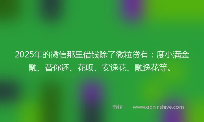 2025年的微信那里借钱除了微粒贷有：度小满金融、替你还、花呗、安逸花、融逸花等。