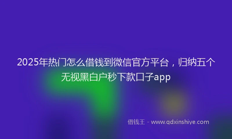 2025年热门怎么借钱到微信官方平台，归纳五个无视黑白户秒下款口子app
