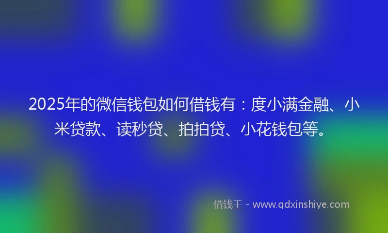 2025年的微信钱包如何借钱有：度小满金融、小米贷款、读秒贷、拍拍贷、小花钱包等。