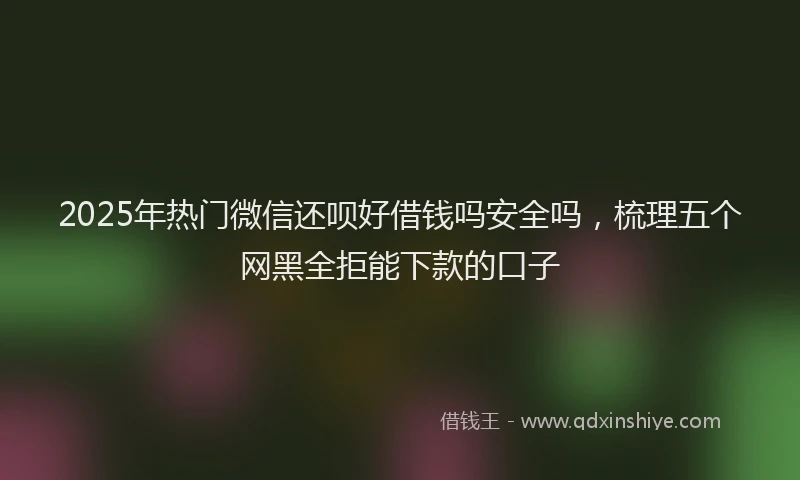2025年热门微信还呗好借钱吗安全吗，梳理五个网黑全拒能下款的口子