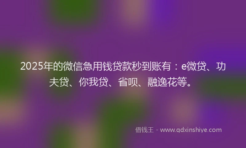 2025年的微信急用钱贷款秒到账有：e微贷、功夫贷、你我贷、省呗、融逸花等。