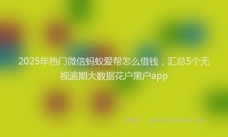 2025年热门微信蚂蚁爱帮怎么借钱，汇总5个无视逾期大数据花户黑户app