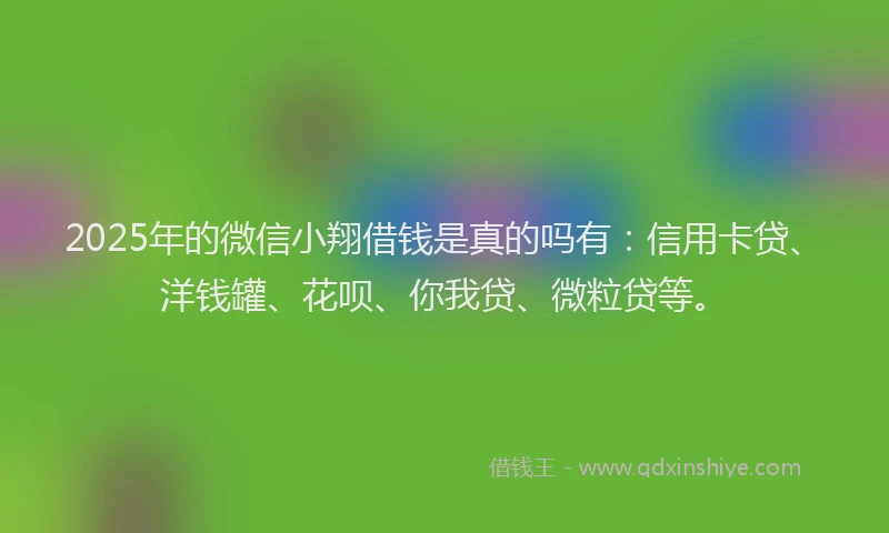2025年的微信小翔借钱是真的吗有：信用卡贷、洋钱罐、花呗、你我贷、微粒贷等。