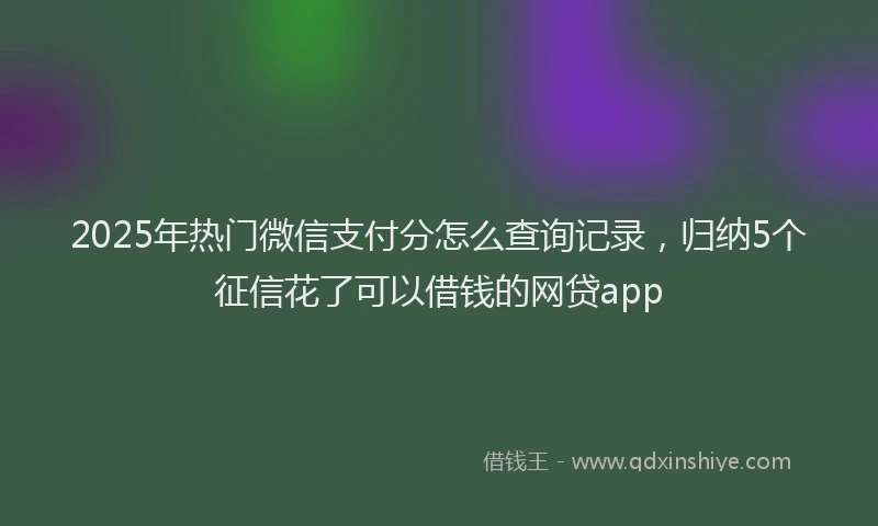 2025年热门微信支付分怎么查询记录，归纳5个征信花了可以借钱的网贷app