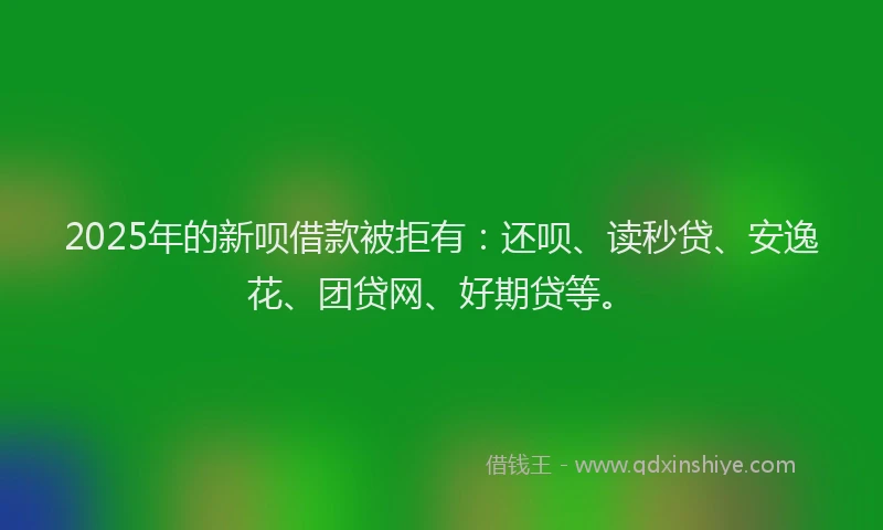 2025年的新呗借款被拒有：还呗、读秒贷、安逸花、团贷网、好期贷等。