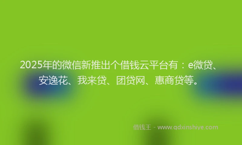 2025年的微信新推出个借钱云平台有：e微贷、安逸花、我来贷、团贷网、惠商贷等。
