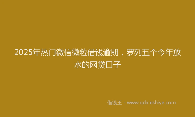 2025年热门微信微粒借钱逾期，罗列五个今年放水的网贷口子