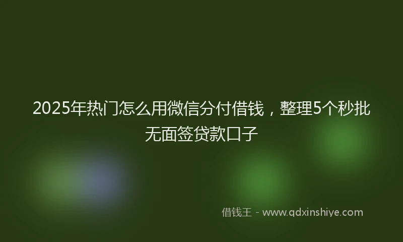 2025年热门怎么用微信分付借钱，整理5个秒批无面签贷款口子