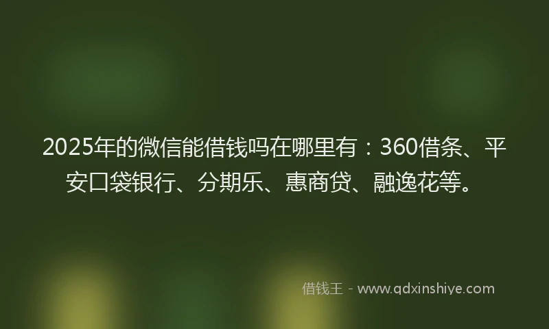 2025年的微信能借钱吗在哪里有：360借条、平安口袋银行、分期乐、惠商贷、融逸花等。
