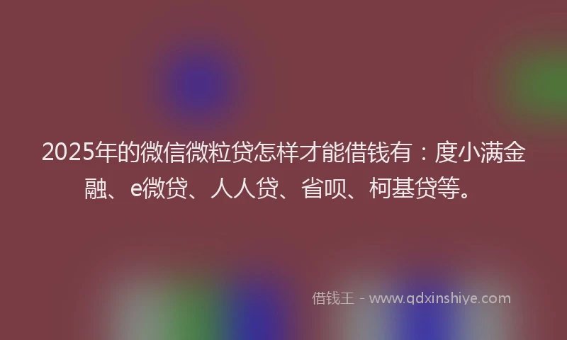 2025年的微信微粒贷怎样才能借钱有：度小满金融、e微贷、人人贷、省呗、柯基贷等。