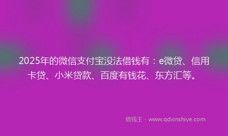 2025年的微信支付宝没法借钱有：e微贷、信用卡贷、小米贷款、百度有钱花、东方汇等。