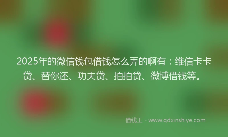 2025年的微信钱包借钱怎么弄的啊有：维信卡卡贷、替你还、功夫贷、拍拍贷、微博借钱等。